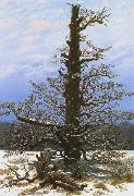 Caspar David Friedrich Oak Tree in the Snow (mk10) Spain oil painting artist